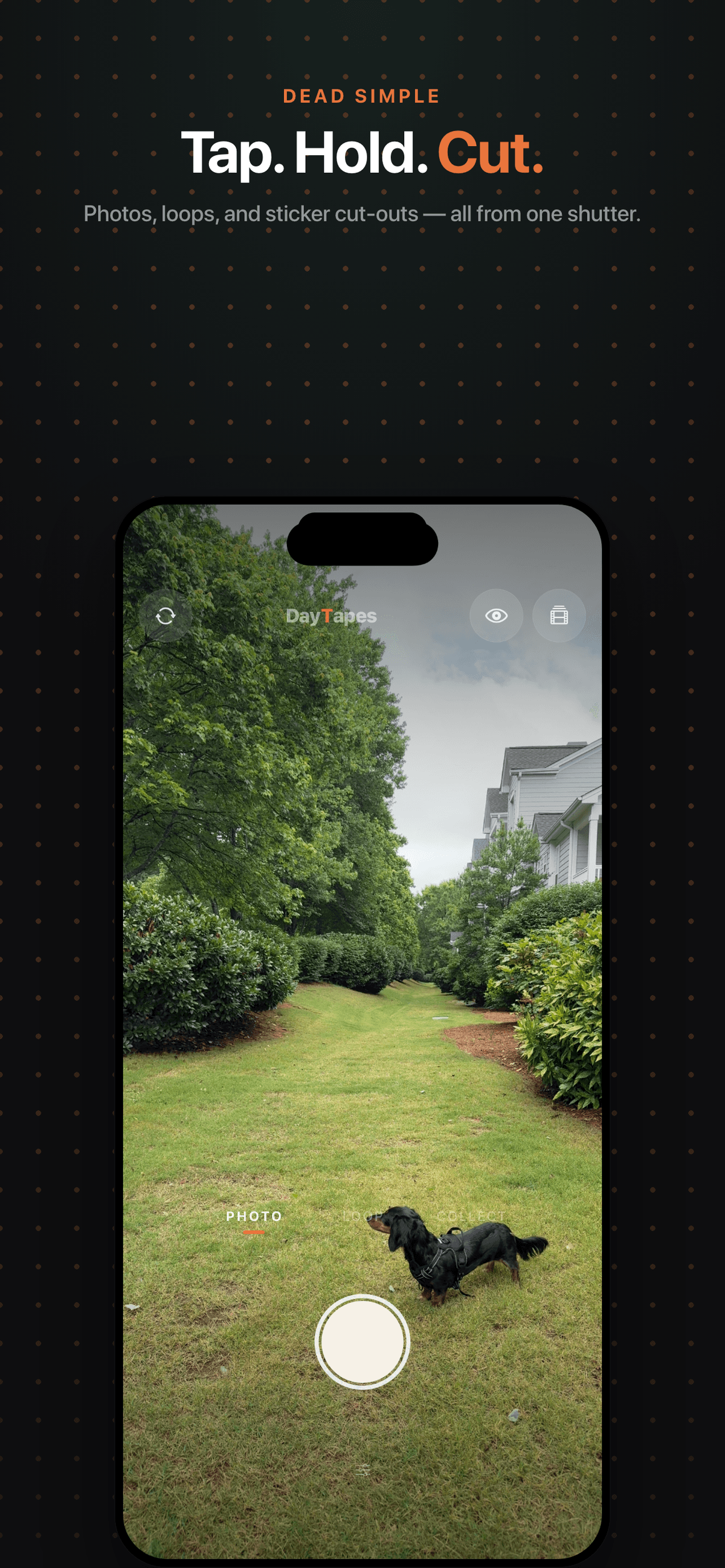 Capture a photo, loop, or cut-out